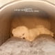 thumbnail image 4 of Autumn and Winter Pet Nest Cat Hole Dog Hole Large Portable Space Basket Cave Indoor Bed Soft Sofa Cat Bed Closed Warm Nest ShopWise Round, 4 of 6
