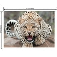 thumbnail image 2 of GreenDecor 7x5ft Cute Leopard photography Backdrop Background studio prop, 2 of 4