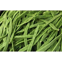 Romano Pole Bean Seeds for Planting (20 Seeds) - Qing Bian Beans