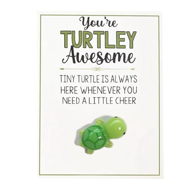 LUVCLS 1 minitortuga de bolsillo para abrazar, eres una tortuga, un regalo inspirador increíble con tarjeta, tarjetas de agradecimiento, tarjeta de felicitación, minifigura de tortuga marina, regalo
