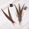 thumbnail image 1 of Xihbxyly Plumas de Cola de Faisán, Textura Suave Natural, Limpias y Desinfectadas, Decoración Artesanal, Suministros para Bodas, Proyectos de Arte para El Hogar, Tamaño de 30 a 35 Cm, Paquete de 10 U, 1 of 1