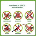 thumbnail image 5 of Store Holographic Bird Deterrent Tape 2.4cm x 80m Reflective Protection, 5 of 5