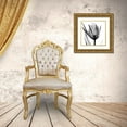 thumbnail image 3 of Koetsier, Albert 26x26 Gold Ornate Wood Framed with Double Matting Museum Art Print Titled - High Contrast Tulip, 3 of 4