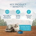 Blue Buffalo Wilderness Natural Kitten Dry Cat Food, High-Protein