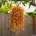 thumbnail image 6 of WUJDF Fall Artificial Faux Mums Hanging Flowers Plants Basket for Outdoor Decoration,Fake Silk Daisy Planters Uv Resistant Look Real for Home Porch Patio Balcony Yard Fall Decor Artificial Flowers, 6 of 7