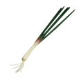 thumbnail image 4 of Simulated Scallion Model Lifelike Fake Scallions Veggie Model Fake Vegetable Prop, 4 of 4