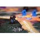 thumbnail image 5 of Paquete de expansión Leder Games Root The Vagabond con 7 Meeples, 5 of 6