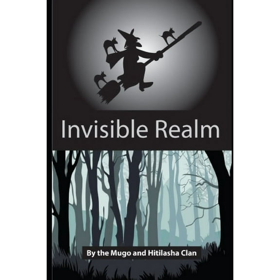 Invisible Realm (Paperback)