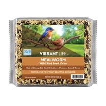 Vibrant Life 20 oz Mealworm Wild Bird Seed Cake for Backyard Songbirds