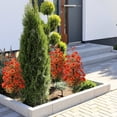 thumbnail image 5 of Fall Artificial Topiary Ball Outdoor Bushes with Ground Spike, UV Resistant Autumn Orange Mum Shrubs Leaves Decor for Porch Garden Thanksgiving Christmas Holiday Festival Party Planting, 5 of 9