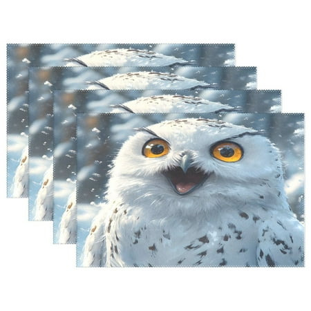 

Ryvnso Placemats Set of 4 A Cute Owl Dining Mats Heat-Resistant Non-Slip Washable Table Mat