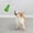 Dog Toys Green, variant on YaoZQ Blue Dog Squeaky Toy, Interactive Plush for Puppies, Funny Fetch Play & Boredom Relief, 9.45x5.51in