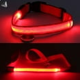 thumbnail image 4 of PULLIMORE LED Dog Collar and Leash Set USB Rechargeable Glowing Pet Collar Night Walking Safety Light Up Dog Collars (L, Red), 4 of 9