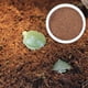 thumbnail image 4 of Tapis de sol en noix de coco pour reptiles, araignées, lézards, scorpions, aménagement paysager, 4 of 4