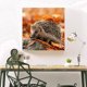 thumbnail image 4 of Cuadros Decorativos 5D DIY diamante pintura otoño erizo completo redondo taladro punto de cruz conjunto decoración Ndcxsfigh  Nuevos Originales, 4 of 9