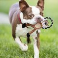 thumbnail image 3 of Pet Toy Monkey Lion Interactive Teething Cleaning Dog Bite Toy Pet Sound Toy, 3 of 6
