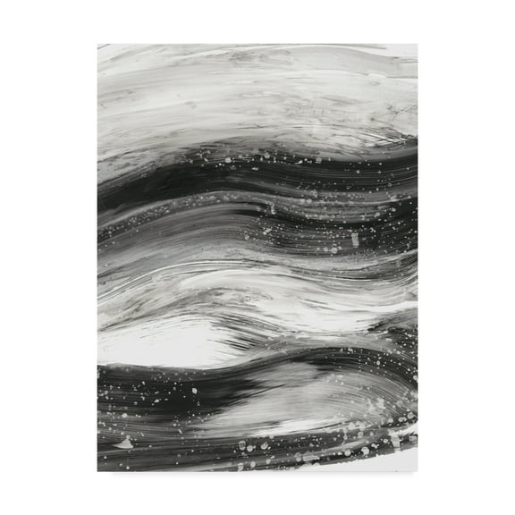 Trademark Fine Art 'Black Waves II' Canvas Art by Ethan Harper
