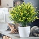 thumbnail image 1 of Plantas artificiales para exterior, plantas colgantes para interior y exterior, decoración de jardines, porches, bodas en casa, casas de campo y terrazas., 1 of 6