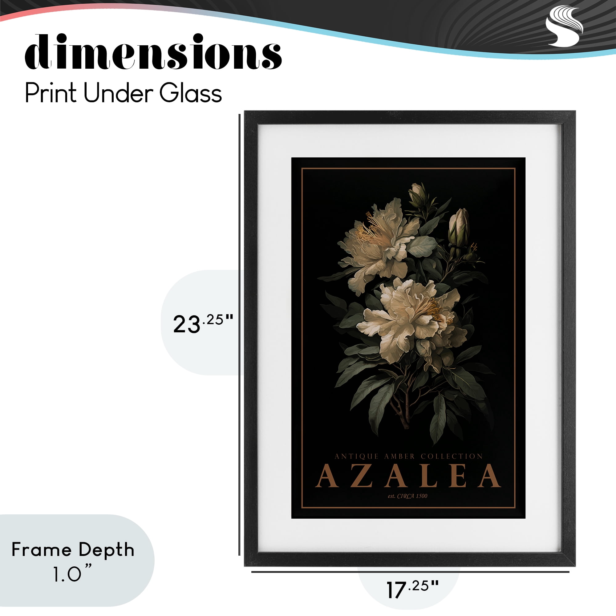 Stupell Industries Antique Azalea Light Black Framed Print Under Glass, design by Chris Giampietro