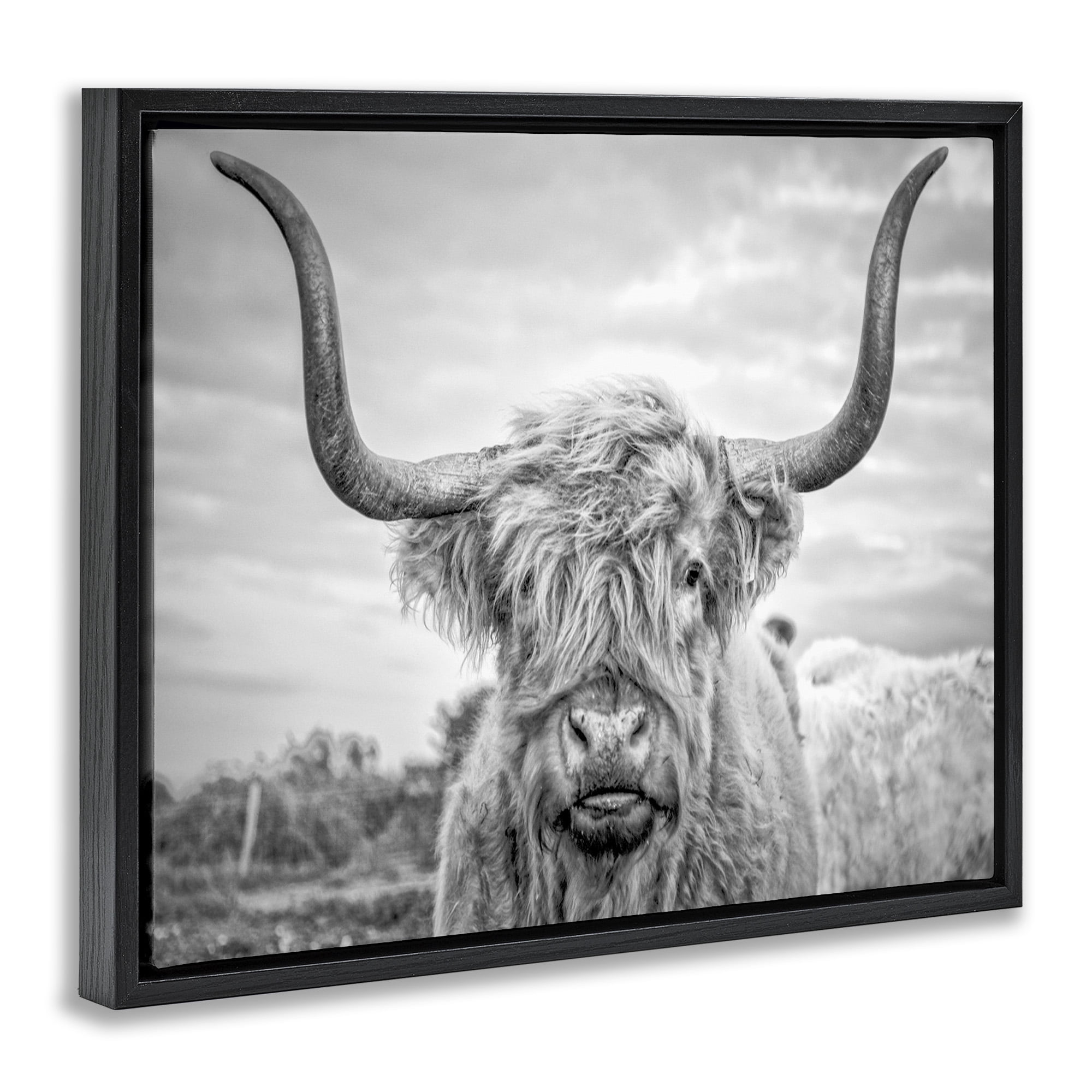 Stupell Industries Black and White Highland Cow Photograph Jet Black Framed Floating Canvas Wall Art, 24x30, by Joe Reynolds