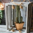 thumbnail image 4 of Artificial Cactus in Brown Pot, 4 of 11