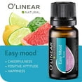 thumbnail image 5 of O'linear Essential Oils 6 Blends Set - Perfect for Humidifiers and Diffusers, Aromatherapy Diffuser Oils Scents, Essential Oil Kit for Home Use, Essential Oil Pack with Various Scents, 5 of 9