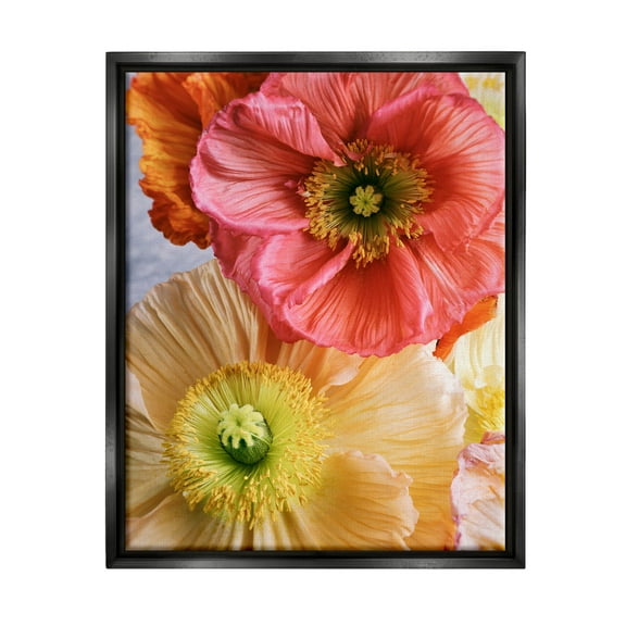 Detailed Poppy Flower Close Up Botanical & Floral Photograph Jet Black Framed Art Print Wall Art