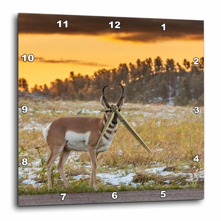 3drose, Usa, South Dakota, Custer State Park. Pronghorn Antelope at Sunrise., 10x10 Wall Clock