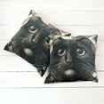 thumbnail image 5 of Ambesonne Cat Throw Pillow Cover Pack of 2, Closeup Circle of a Black Kitty, 2 Pcs-16"x16", Charcoal Grey, 5 of 5