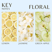 Alvarez Gomez Turquesa Azul Femme Eau de Parfum, – For Women 5.1 fl oz