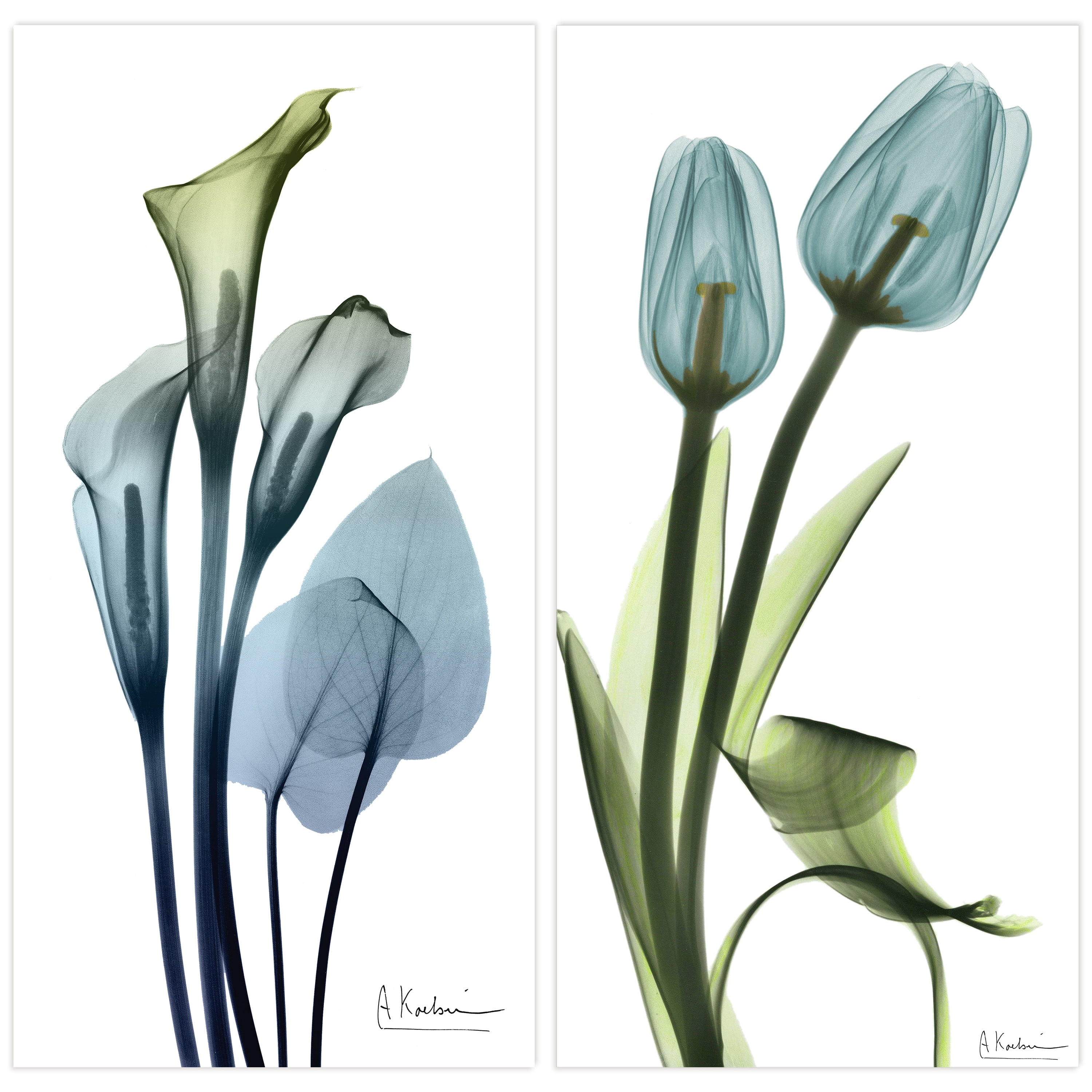 Empire Art Direct Calla Lily and Blue Tulips Frameless Free Floating Tempered Glass Panel Graphic Wall Art Set of 2, 72" x 36" x 0.2" each, Ready to Hang