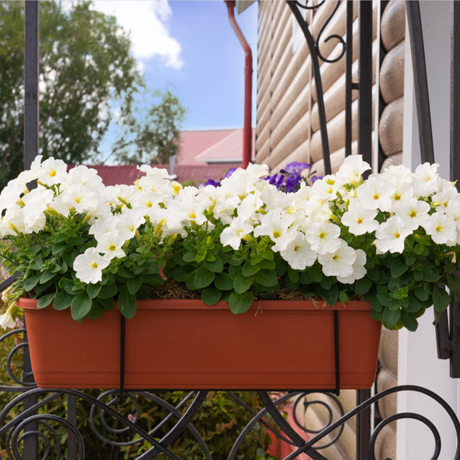 6 Pack Window Box Planter 17 Inch Vegetable Flower Plastic Planters with Tray Rectangular Indoor Outdoor Flower Pots for Windowsill Patio Porch Garden