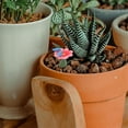 thumbnail image 2 of Raindrops Fairy Tale Bird on Flower Resin Decoration for Home Office or Garden Red 2 Pieces, 2 of 8