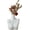B, variant on Female Body Vase,Body Vase Female Form,Artistic White Ceramic Vase,Modern Curve Art Body Flower Vase,Lady Shaped Sculpture for Table,Bookshelf Home Decor (A)