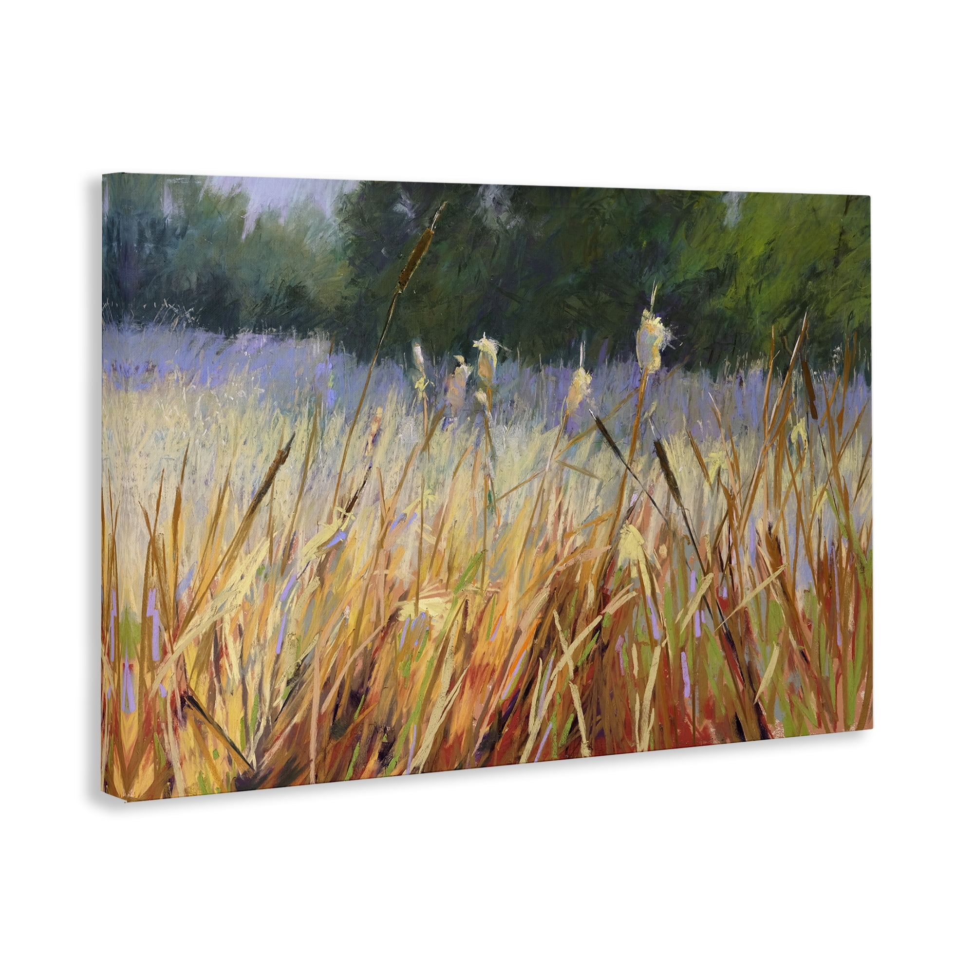 Stupell Industries Country Summer Reeds Landscape & Nature Painting Wrapped Canvas Art Print Wall Art, 45 x 30