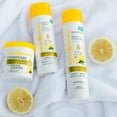 thumbnail image 5 of Mirta de Perales, Lemon Chamomile Hair Shampoo 10 oz, 5 of 5