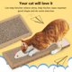 thumbnail image 4 of Productos Para El Hogar 1Pcs Cat Scratchers Cartón Con Antideslizante, Cat Scratchers Tablero Reciclable Cat Scratching Mat Con Catnip Lounge Sofá Juguete Para Gatos-14.76 * 4.72 Pulgadas Productos Pa Muyoka Hogar, 4 of 7