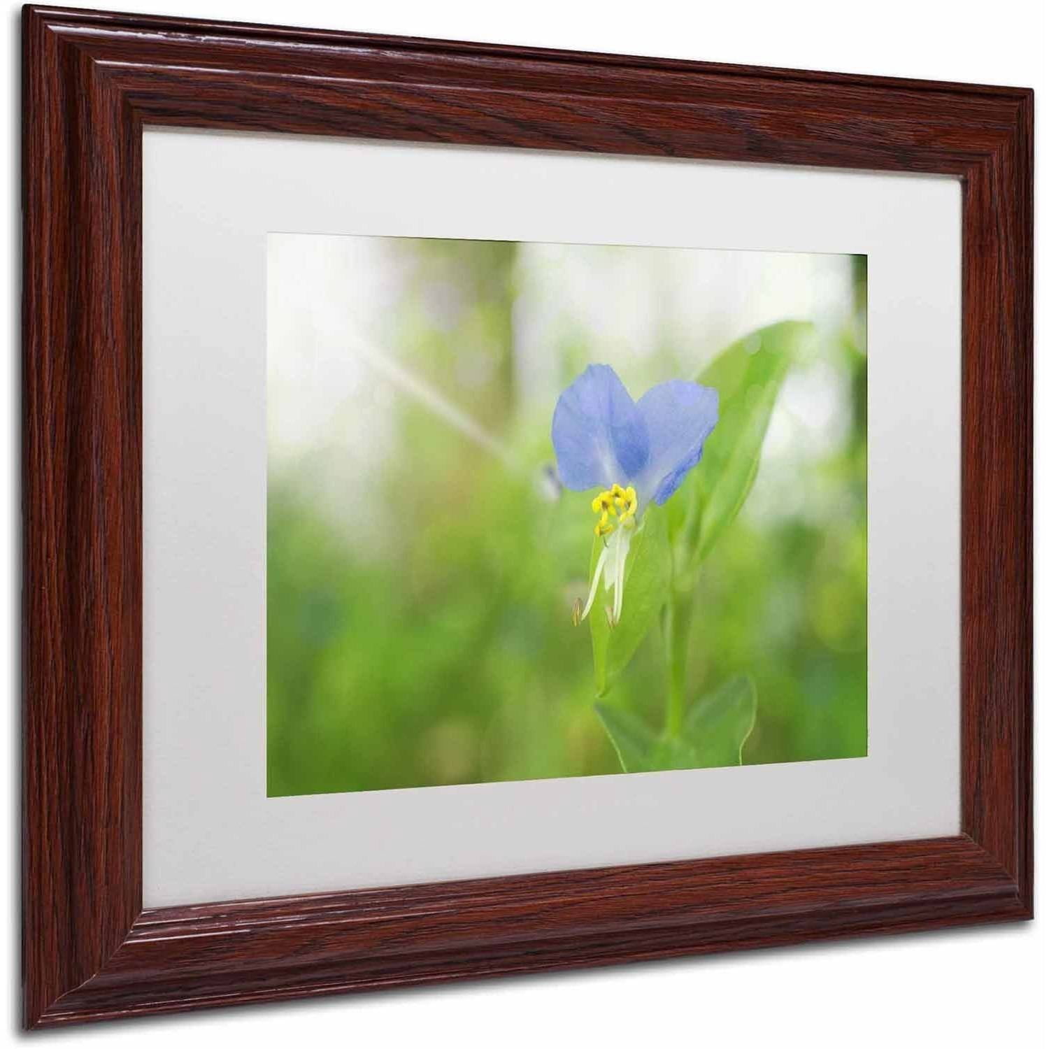 Trademark Fine Art 'Asiatic Dayflower' Canvas Art by PIPA Fine Art, White Matte, Wood Frame