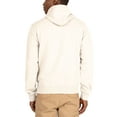 thumbnail image 3 of U.S. Polo Assn. Men's Popover Hoodie, 3 of 3