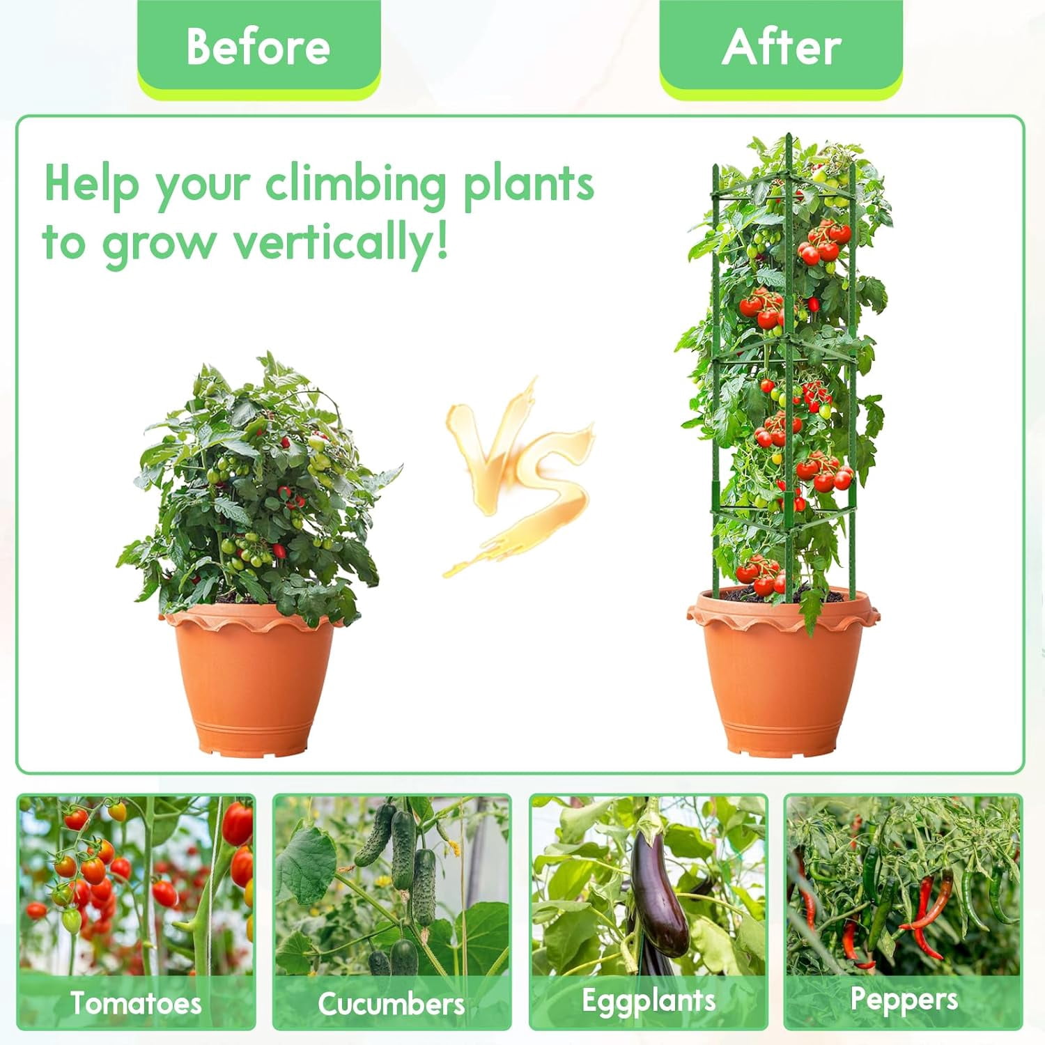 6 Pack 5.2 FT Tomato Cages for Garden- 63inches Heavy Duty Garden Stakes, Adjustable Tall Tomato Plant Support Tomato Trellis Cage for Pots, Raised Garden Bed, Climbing Vegetables Plants Flowers