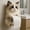B, variant on BingTong Cat Paper Holder New Cat Toilet Roll Holder Funny Toilet Paper Holder Free Standing Bathroom Set Lifelike 3D Cat Sculpture Loo Roll Holder Resin Cat Bathroom Decor For Cat Lovers H