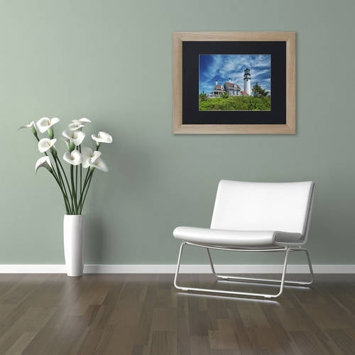 Trademark Fine Art "Cape Cod Light" Canvas Art by Michael Blanchette Photography Black Matte, Birch Frame