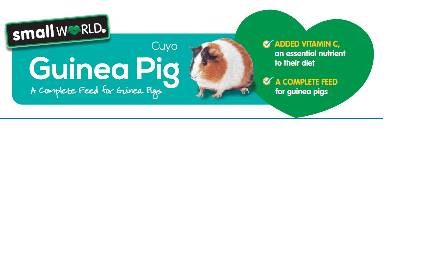 small world guinea pig food