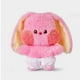 thumbnail image 4 of 2024 NUEVO 1/5 piezas Kpop NewJeans Peluche de juguete Kawaii Minji Danielle Haerin Hyein Hanni Muñecos de peluche Conejo de dibujos animados Almohada suave animal Regalo para fanáticos, 4 of 4