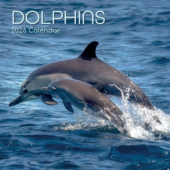 Gifted Stationery Co, Dolphins 2026 Wall Calendar, 12'' X 12'', 16-Month Calendar with Stapled Binding