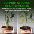 thumbnail image 6 of Humboldts Secret Everything Growing 20-20-20 Fertilizer - All Purpose Water Soluble Plant Food - Balanced NPK with Norwegian Kelp - For Lawns Gardens, Vegetables, Flowers & Indoor Plants - 25 lb, 6 of 10