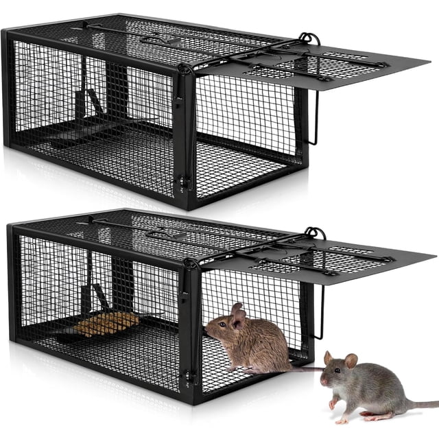 Paquete de 2 trampas para ratas humanas: trampa para ratones Have a Heart para ardillas, ratones y ratas, trampas para ratas vivas para atrapar y liberar en interiores y exteriores