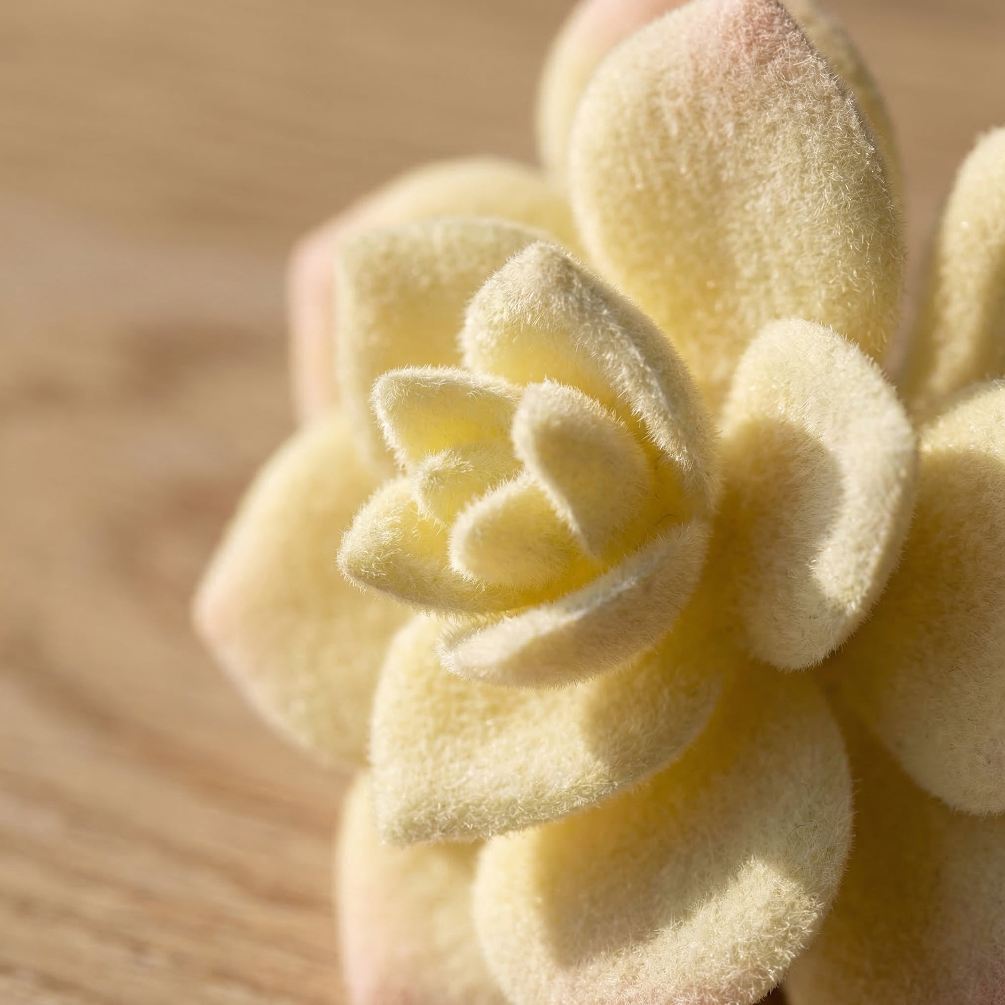 Unique Bargains 10Pcs Flocked Artificial Succulents Rose 3.5" Rose Beige Lotus Pink