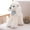 White, variant on BotaniNest Plush Toys Dogs Poodle High Simulation Children Gifts Doll Stuffed Cute Scarf