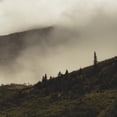 thumbnail image 1 of Tohu Wa Bohu, 1 of 1